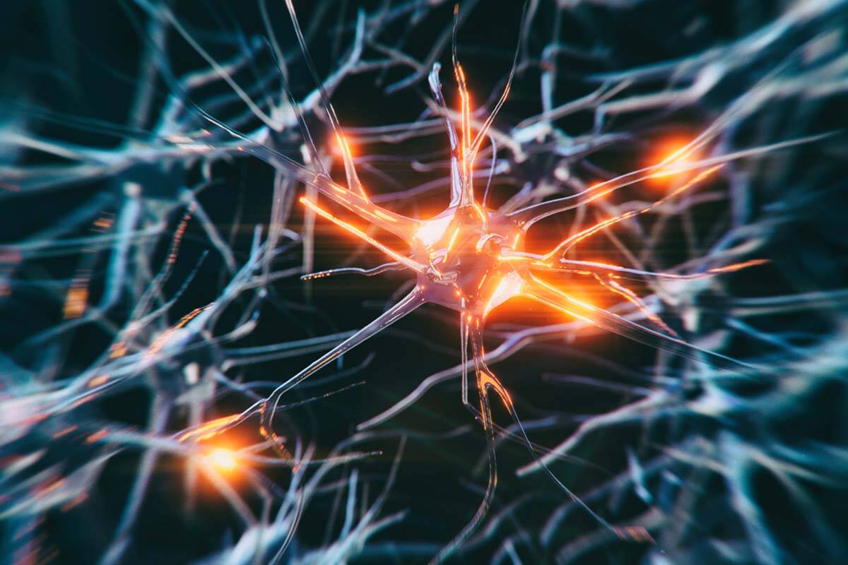 Article image for Melbourne scientists involved in major MS discovery