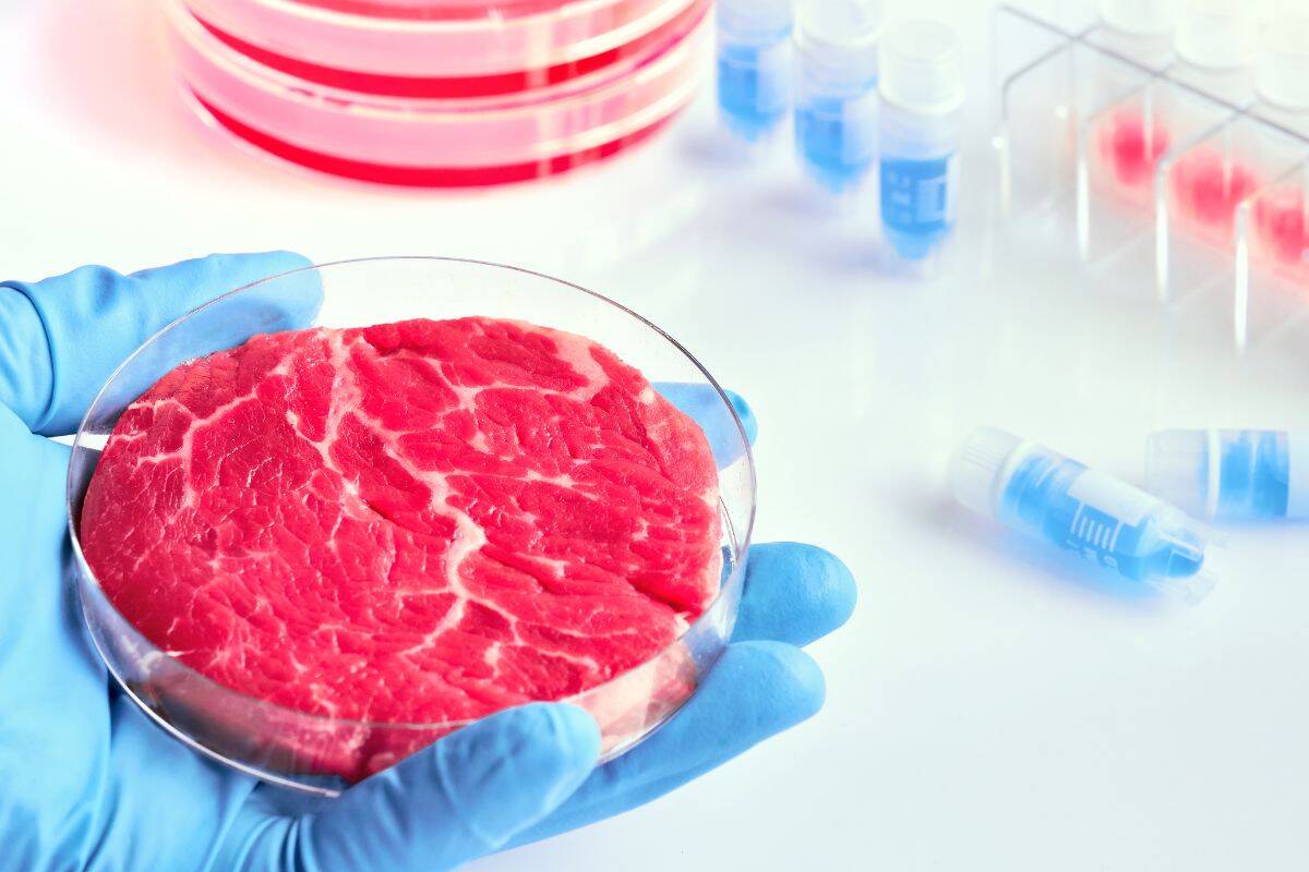 Article image for The ‘lab-grown’ meat which could hit shelves as soon as next year