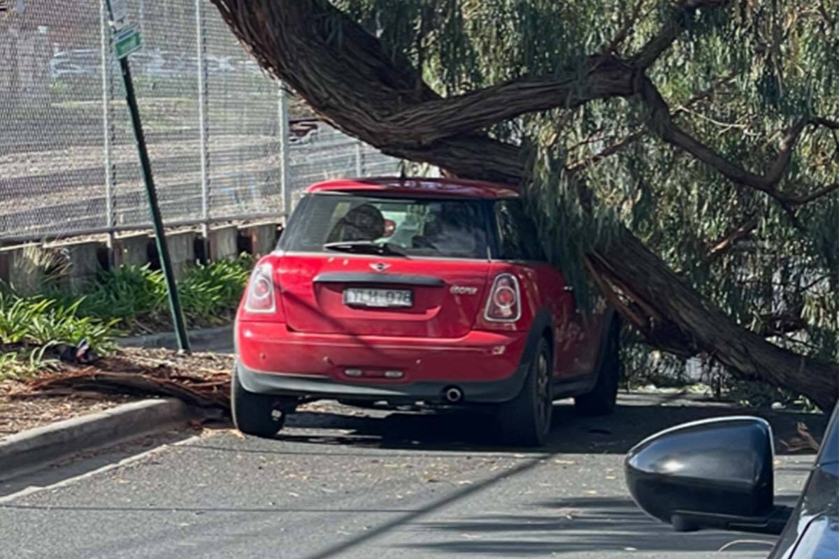 Article image for Wild winds wreak havoc on the roads