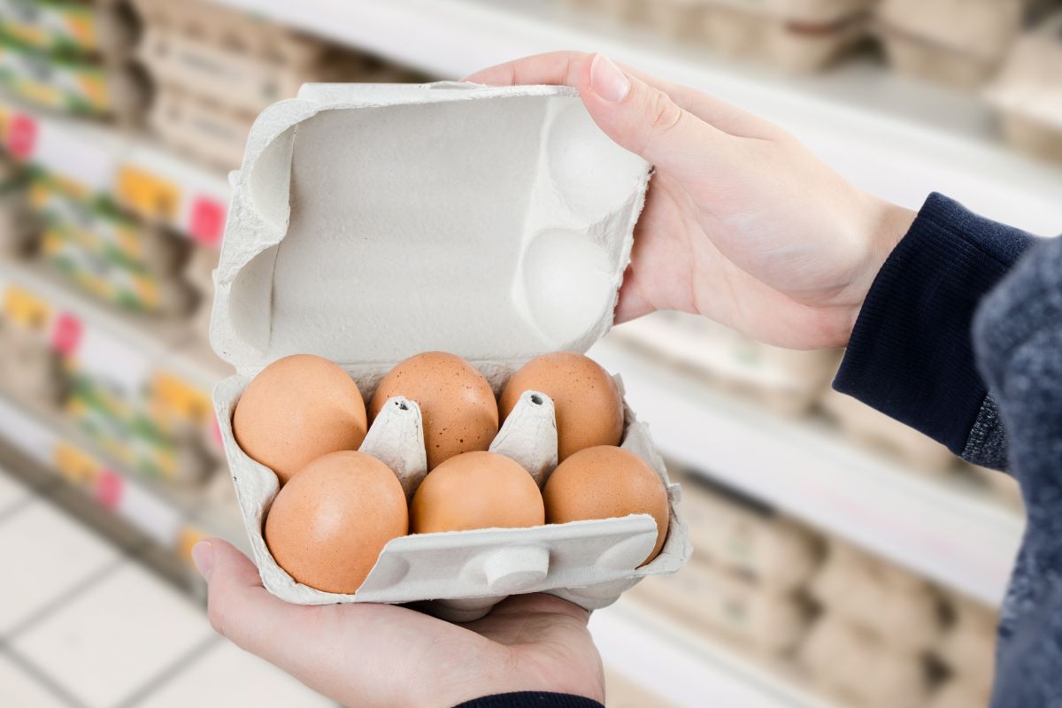 How much a carton of eggs could cost if caged eggs are phased out
