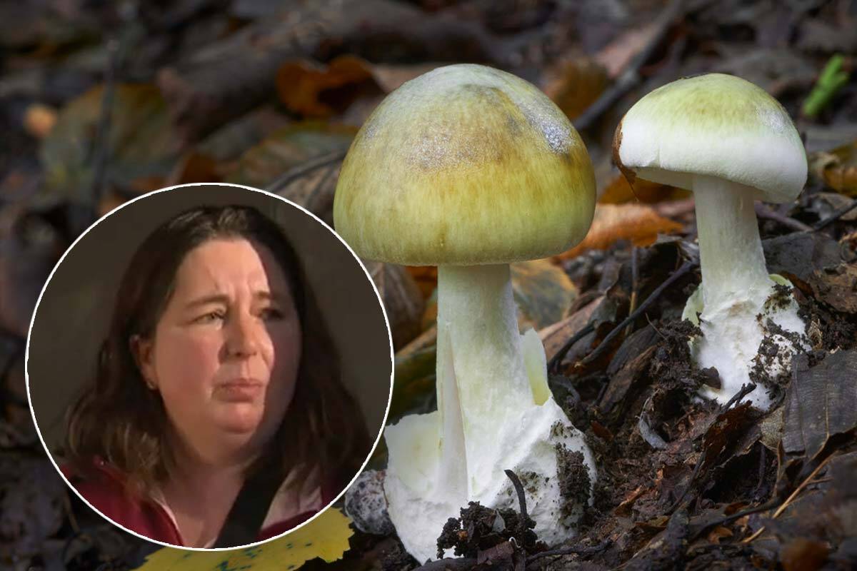 Article image for New twist in probe into deadly Leongatha mushroom lunch