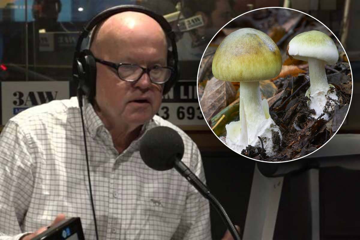 Article image for Mushroom lunch investigation: 12 questions Sly thinks police should be asking
