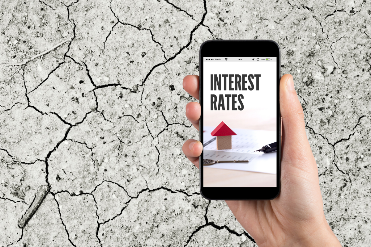 Article image for The link between climate change and interest rates