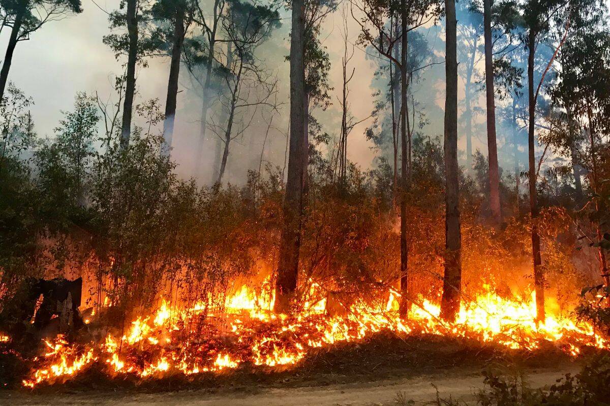 Article image for Regional Victorians ‘unprepared’ for increased bushfire risk
