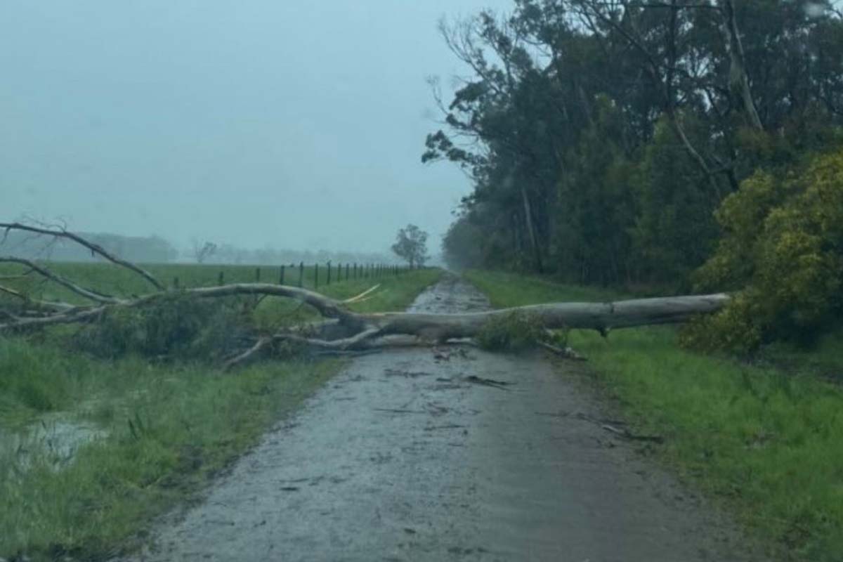 More than 15,000 homes without power as wild winds lash the state