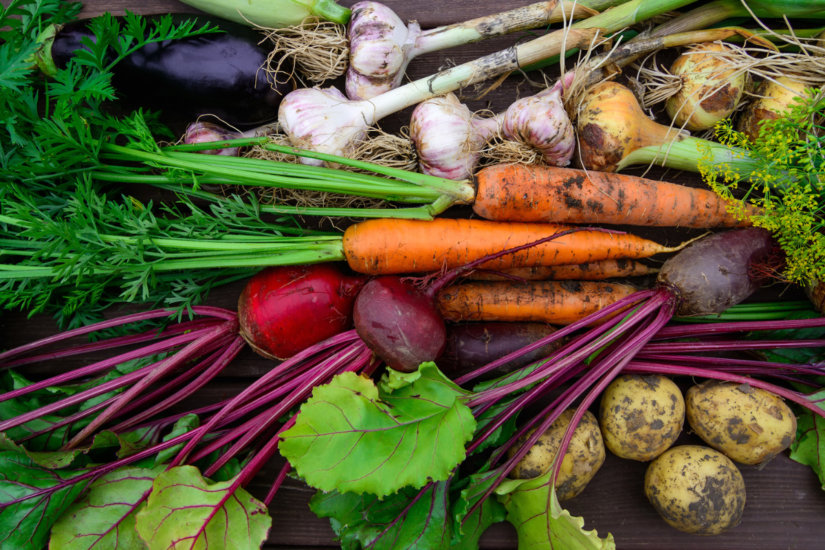 Article image for New CSIRO report reveals Australians need to ’embrace’ vegetables