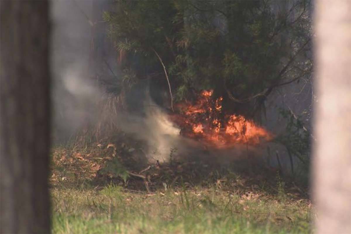 Article image for ‘Keep your phones close’: CFA chief provides update on Gippsland bushfires