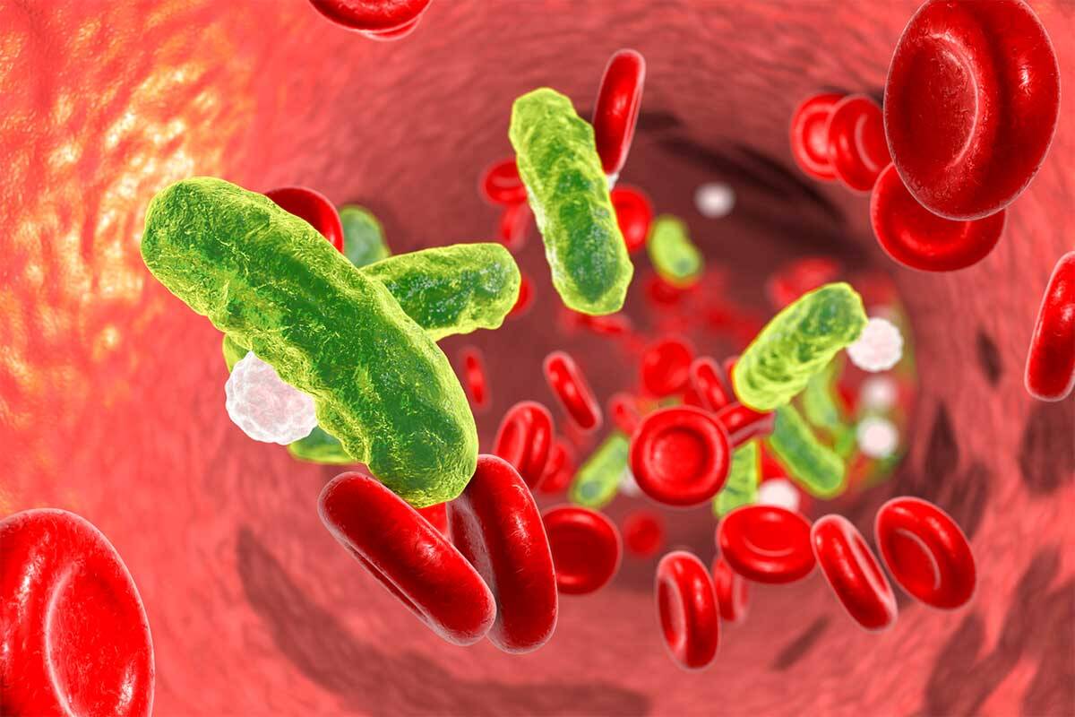 Article image for Australian scientists make major breakthrough on deadly condition