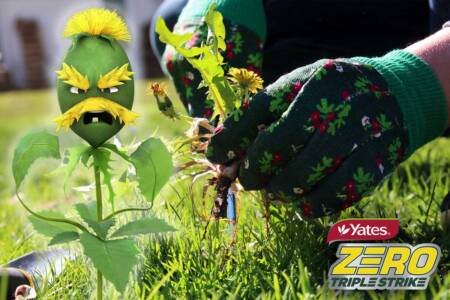 Why weeds grow so fast at this time of year