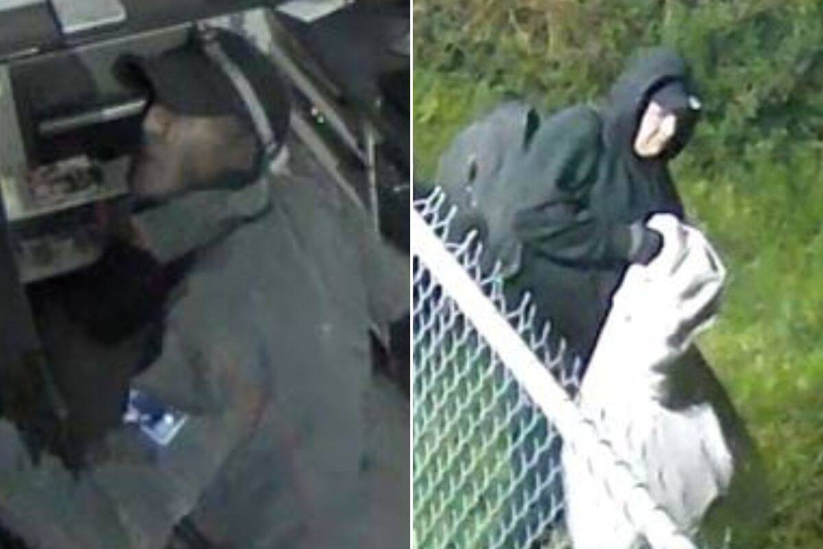 Article image for More than $100,000 worth of cigarettes stolen in the state’s south-east