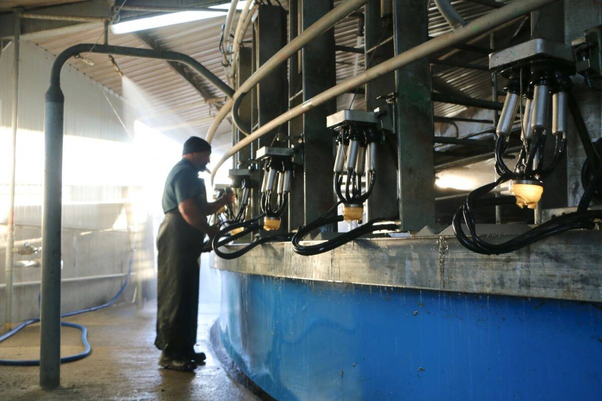 Article image for Dairy product shortage may be imminent as strike sweeps Victoria