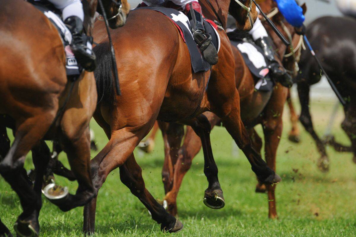 Article image for Victorian bookmakers lose HUGE amount of funds invested in suburban law firm