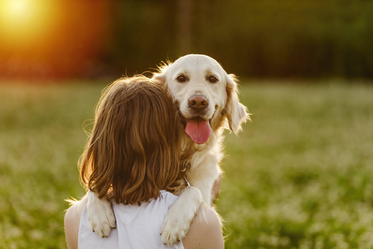Article image for Ask Neil Anything: How do dogs understand routine if they have no concept of time?