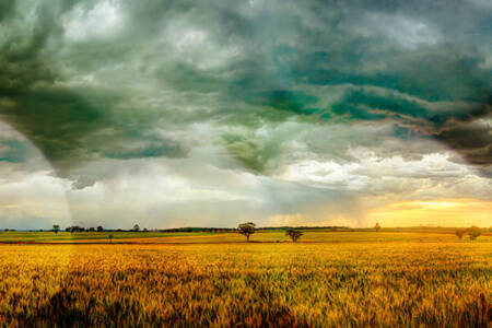 National Rural News – Thursday, October 5, 2023