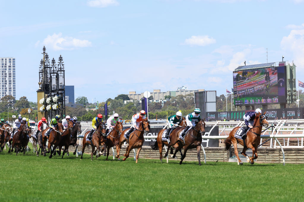 Article image for Without A Fight wins 2023 Melbourne Cup