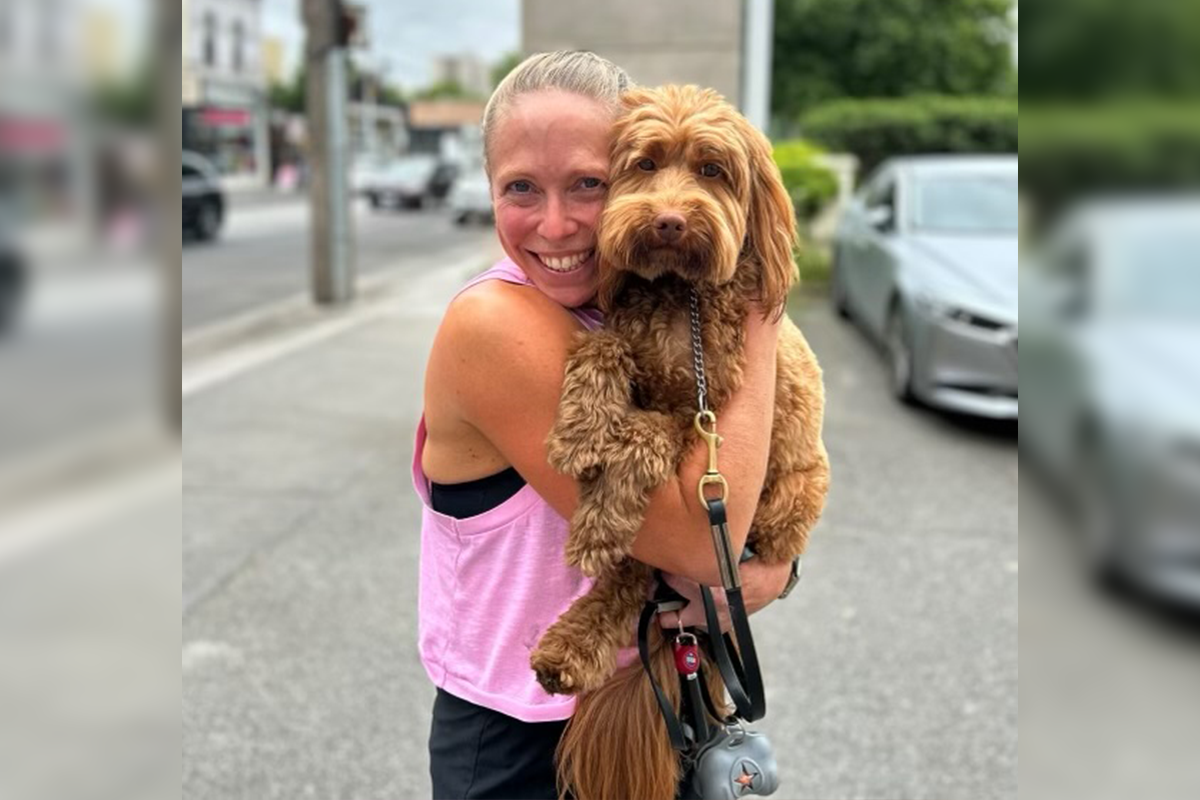 Article image for Dog reunited with owner after harrowing ordeal this morning
