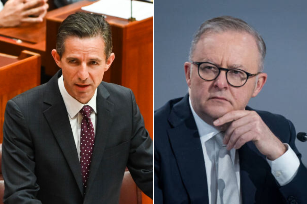 Article image for Liberal senator urges Anthony Albanese to take action following Israeli government travel warning