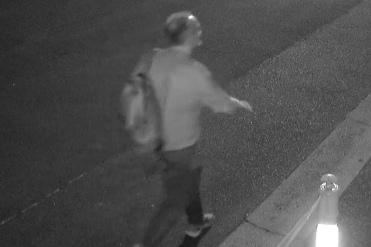 Article image for Police investigate alleged burglary at an Ascot Vale dog wash business