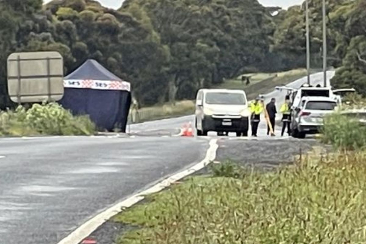 Man dies after being struck by passing vehicle on the Western Freeway