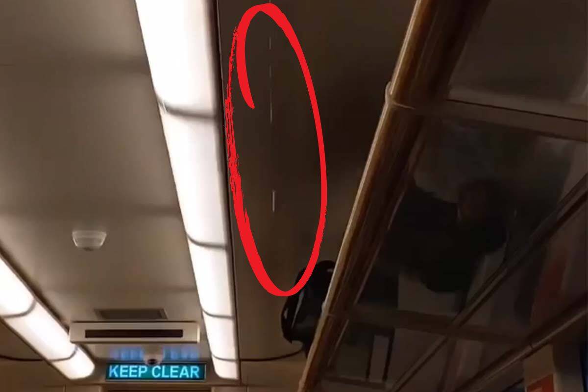 Article image for V/Line traveller drenched by water ‘pouring out of the roof’ of train