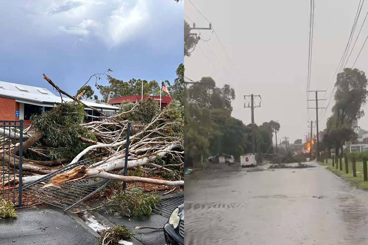 Article image for Melbourne smashed by wild weather as storm sweeps central areas