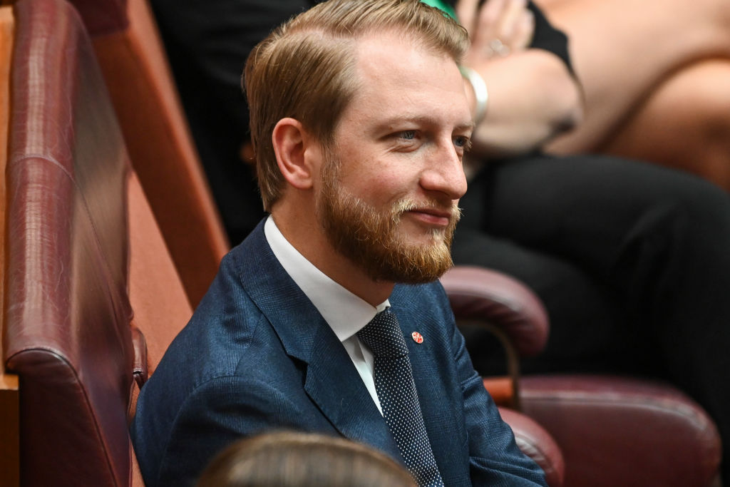 Article image for Shadow homes affair minister slams Albanese government over fast-tracked visas granted to Palestinians