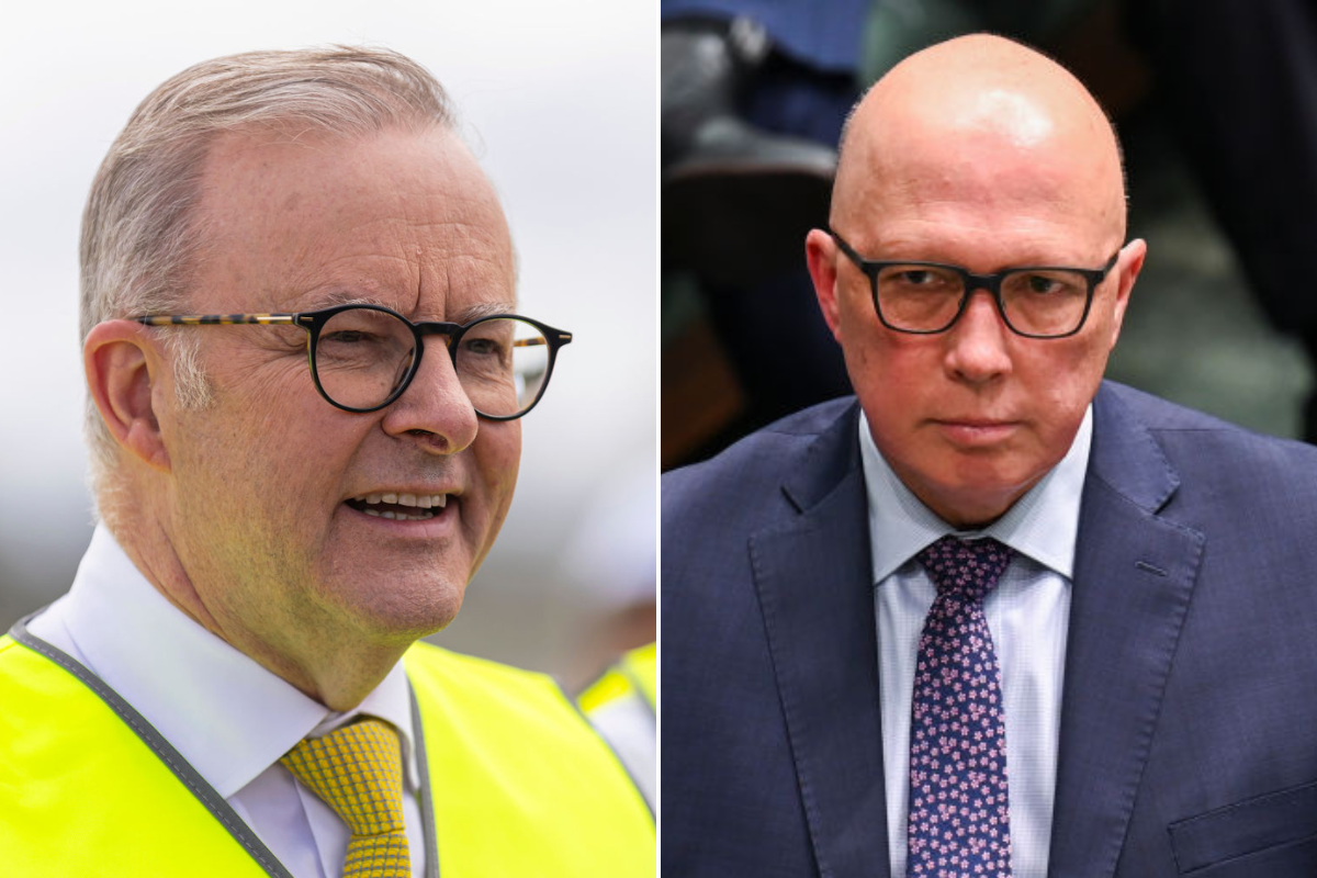 Article image for Why the newest primary vote poll shows Anthony Albanese is ‘in trouble’