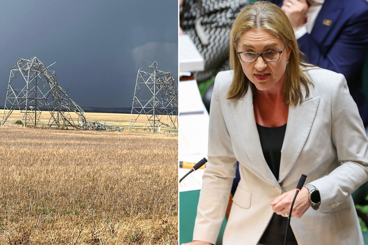 Article image for Allan government urged to do better after yesterday’s savage storms