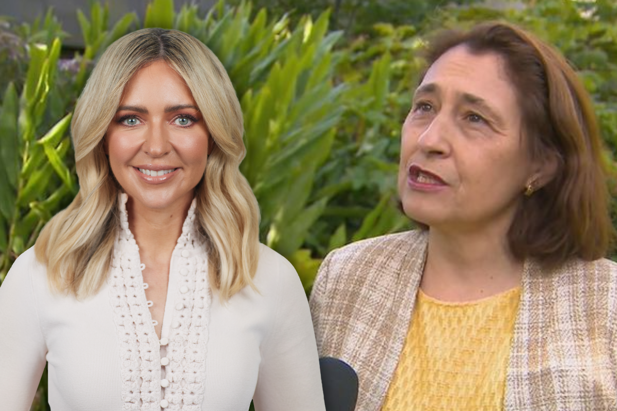Article image for ‘Does it matter?’: Jacqui Felgate questions recent behaviour of Victorian energy minister