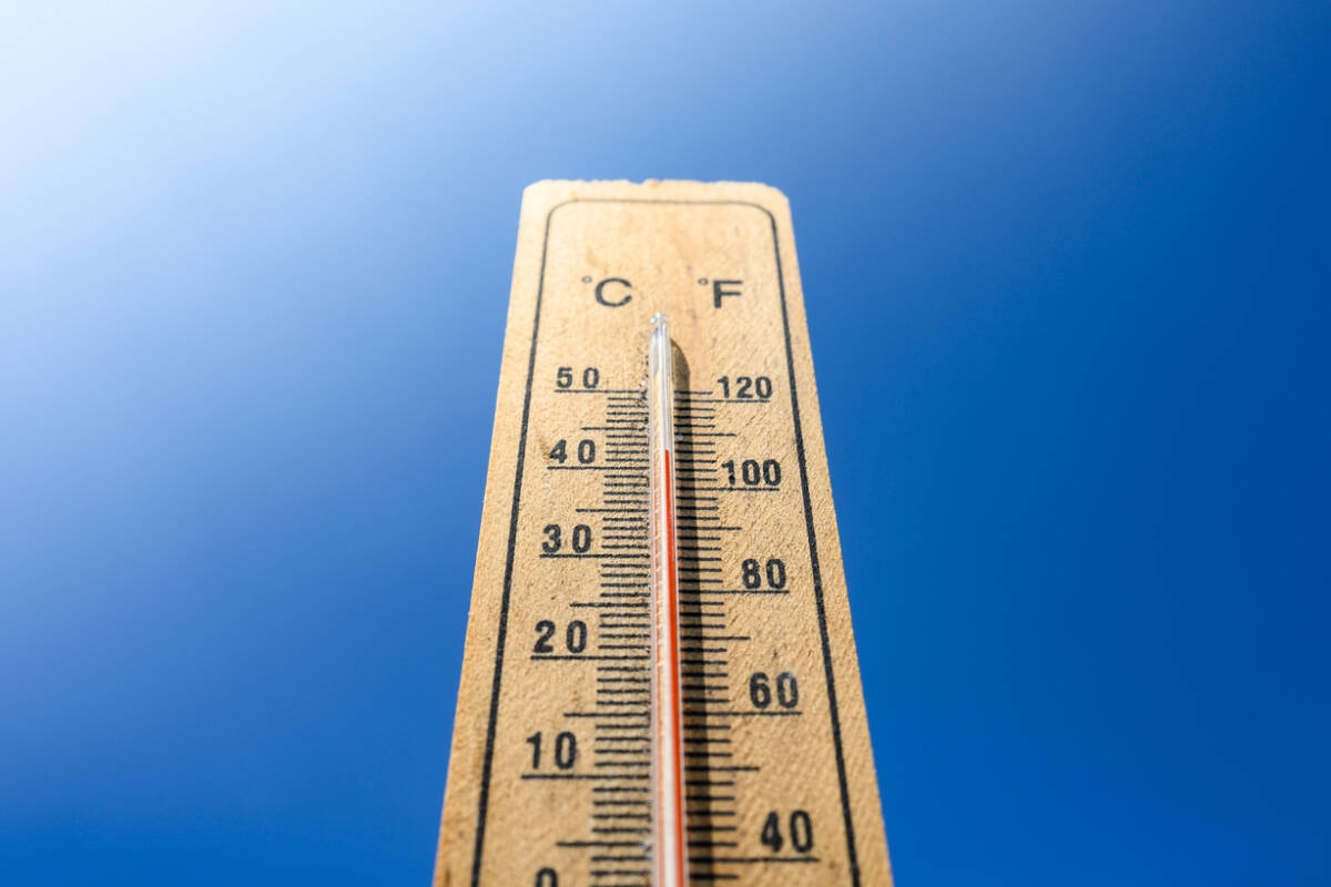 Article image for Victorians warned to brace for extreme heat and fire risk