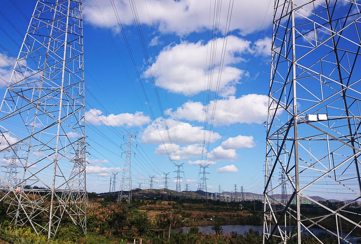 Article image for Renewed calls to move major transmission lines underground after massive storm event