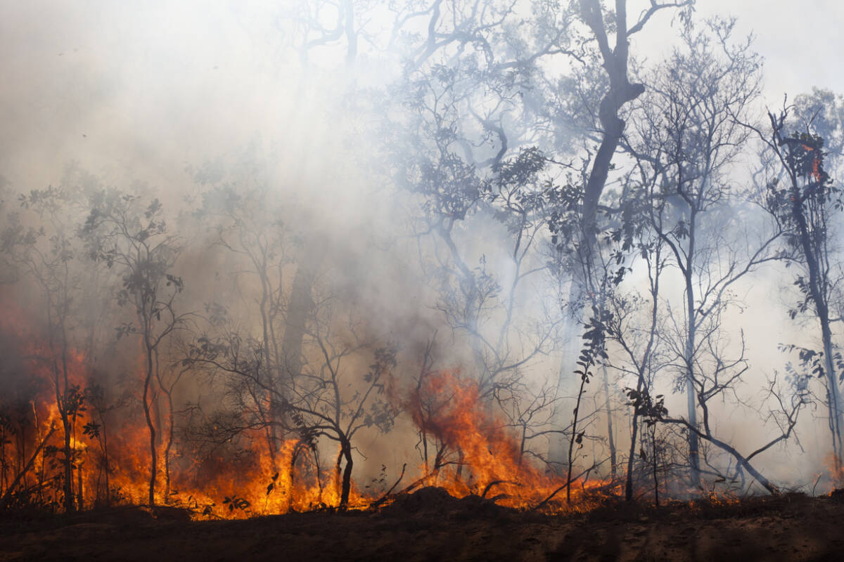Article image for Out of control bushfires breaks out at Grampians National Park