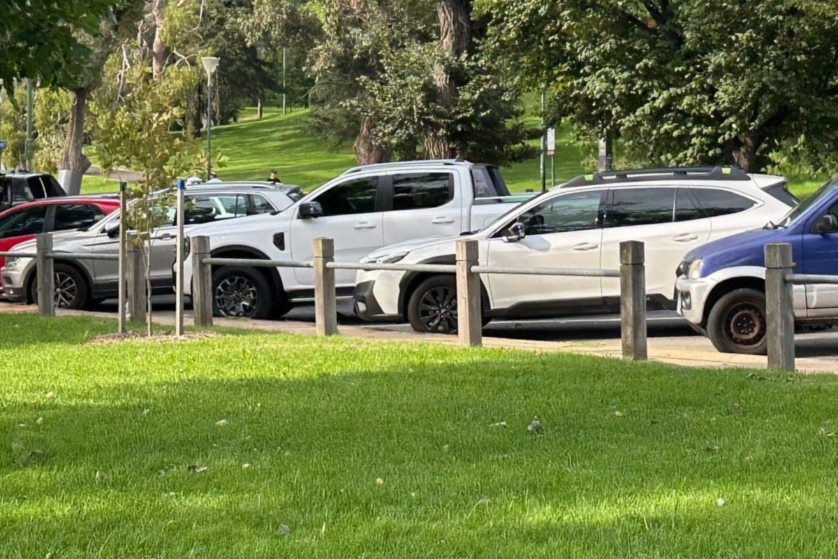 Article image for Parking inspectors caught targeting Moomba Festival attendees