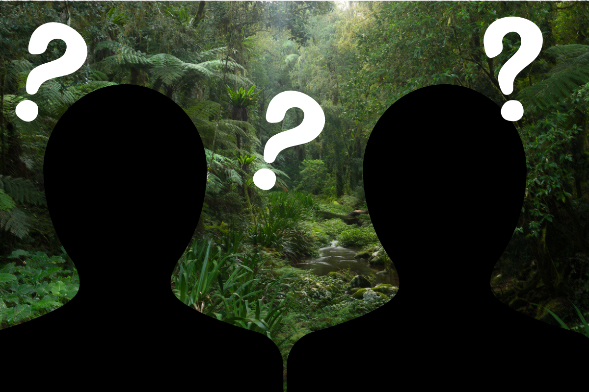 Article image for Peter Ford teases two big names heading to the jungle this year
