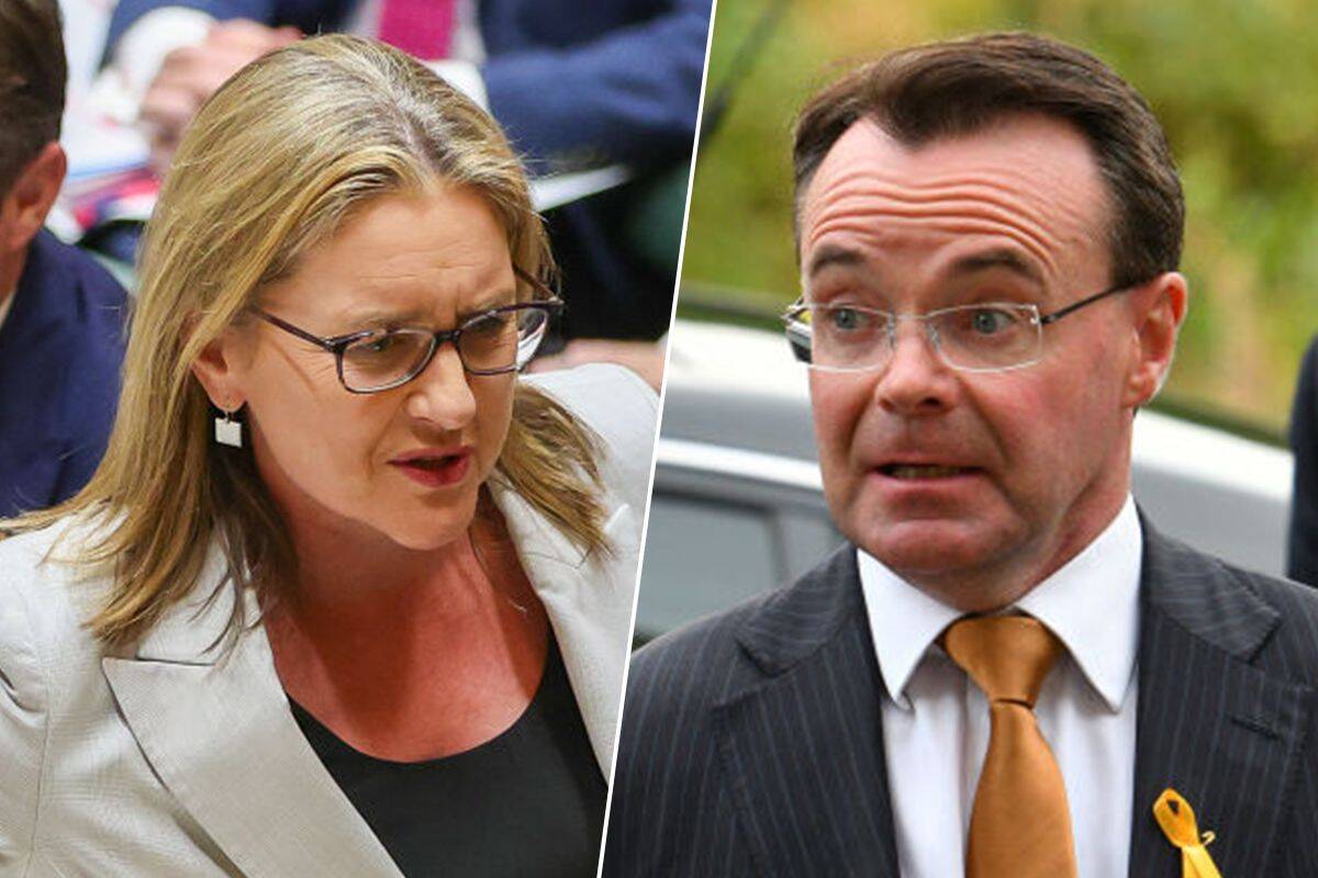 Article image for Michael O’Brien takes state government to task after premier shuts down ‘post and boast’ laws