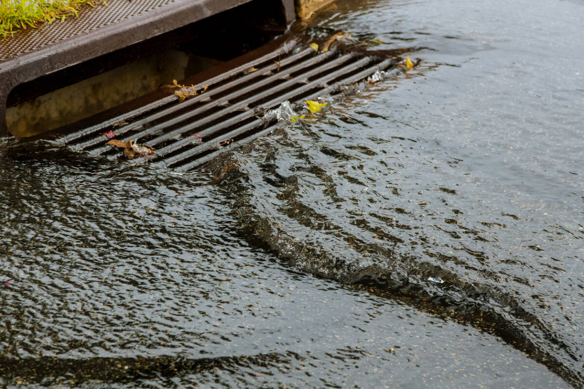 Article image for Woman escapes drowning after falling into flooded storm drain