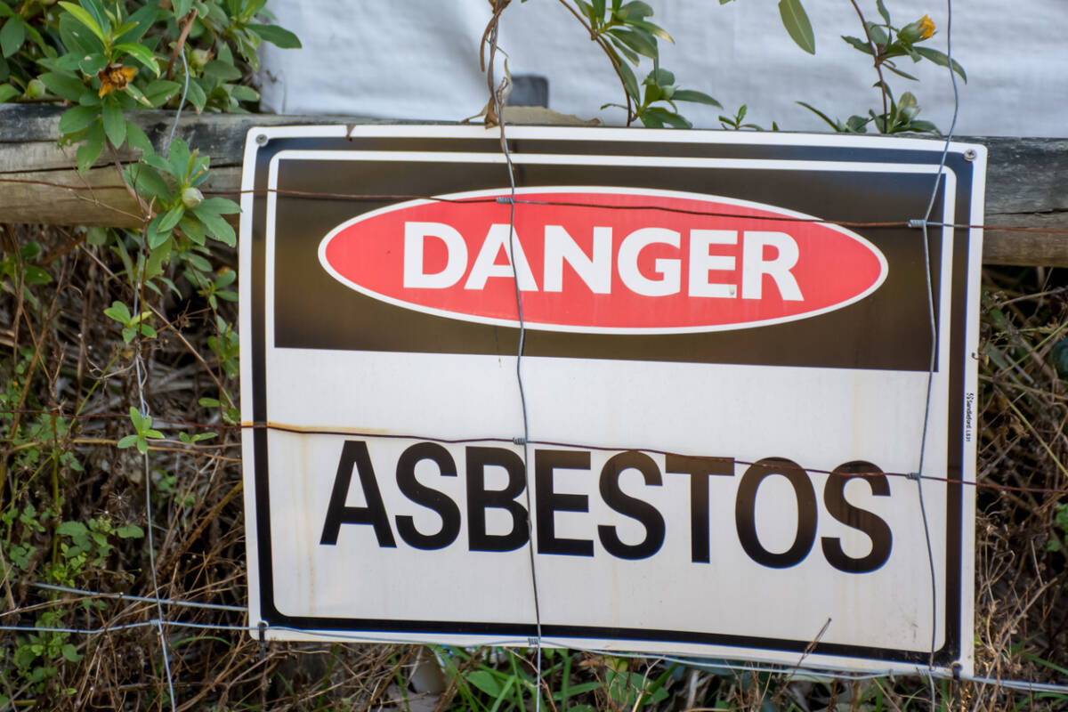 Article image for Expert reveals how asbestos could have ended up at Melbourne parks