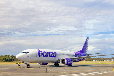Federal Transport Minister has update on Bonza crisis