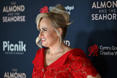 Pete Ford’s latest on Rebel Wilson’s ‘bit messy’ book launch