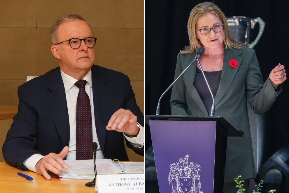 Article image for The difference in policy between Federal and State Labor Tom Elliott finds ‘dumb’