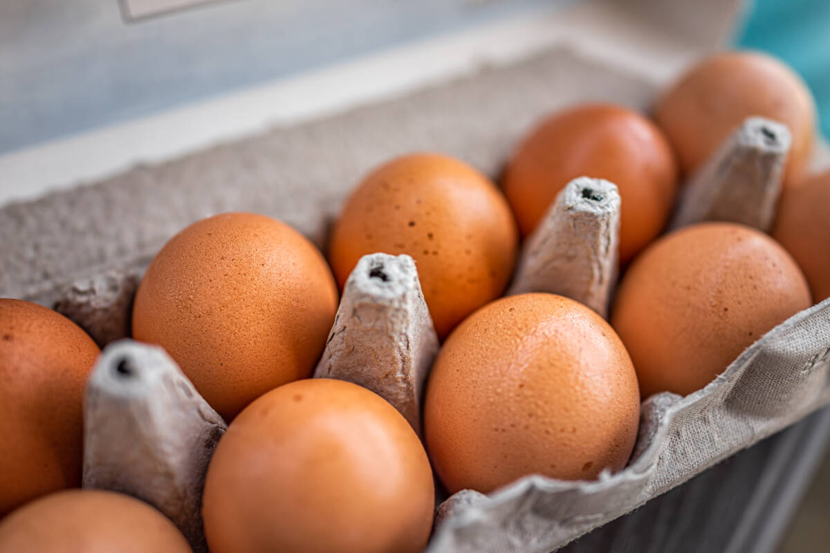 'People shouldn't be overly concerned' Egg farmer provides update on