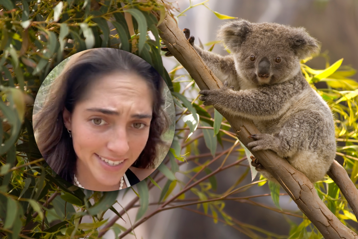 Article image for Why British backpacker believes ‘Australia is a scam’