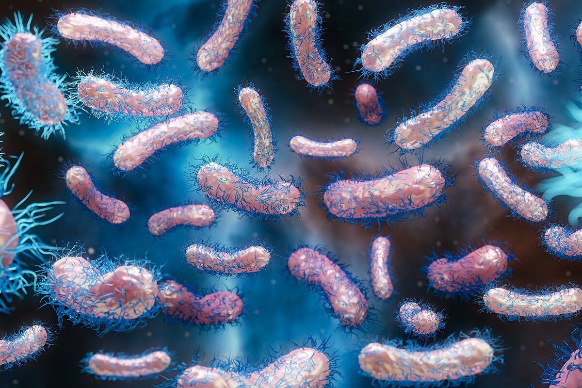 Article image for Chief Health Officer offers advice to the public amid ‘concerning’ Legionnaires’ disease outbreak