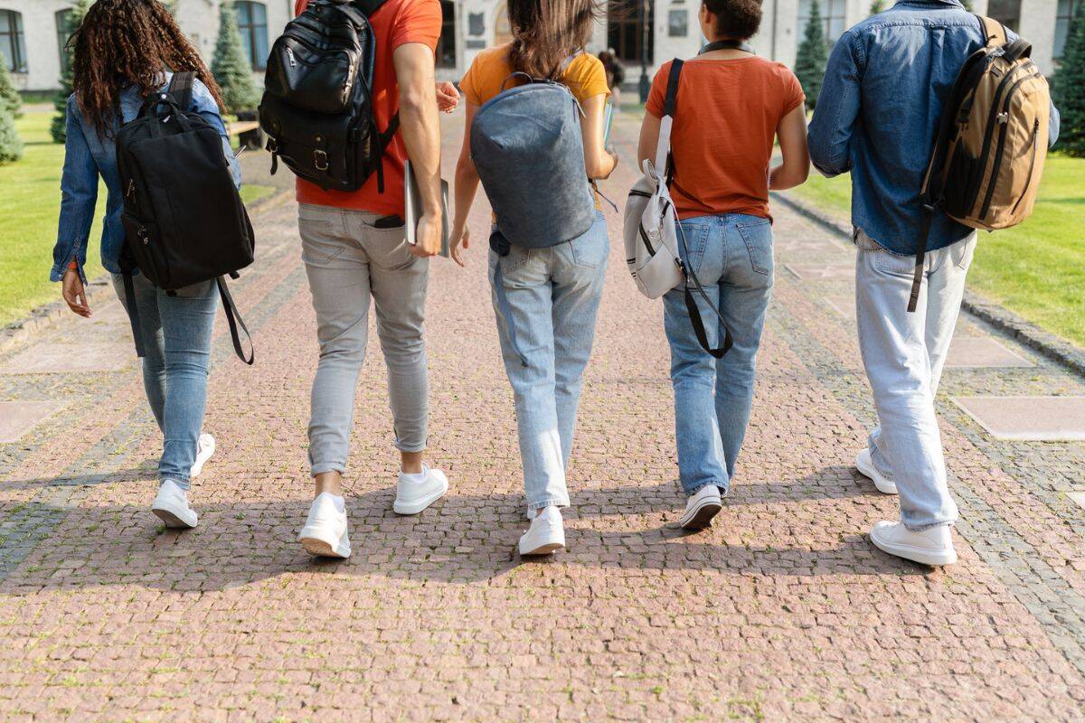 Article image for Concerns raised as federal government considers cap on international student enrolments