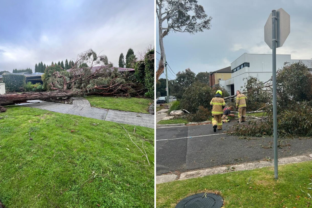 Melbourne's wild winds claim life as damaging conditions sweep state