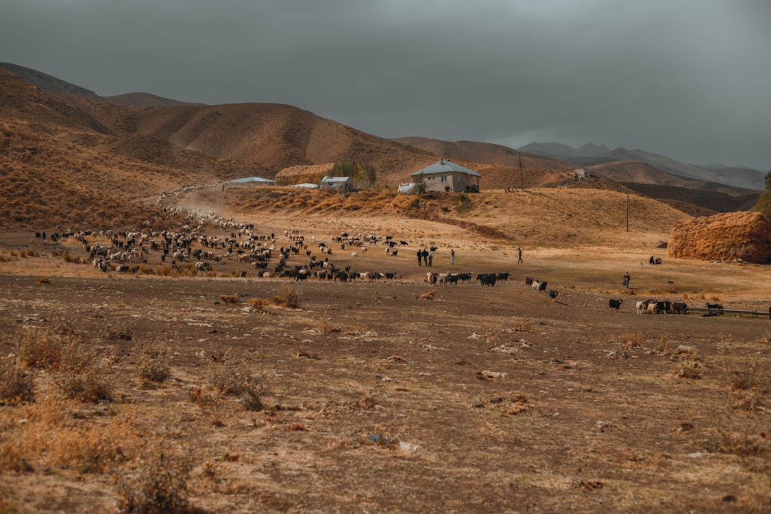 Financial relief for drought stricken farmers in Victoria - 3AW