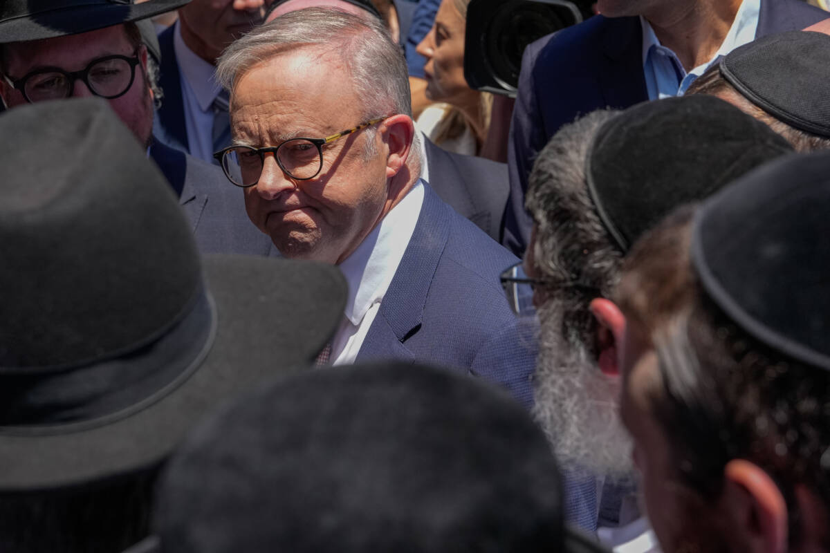 Article image for Jewish community member thinks Albanese’s visit to synagogue was ‘too late’
