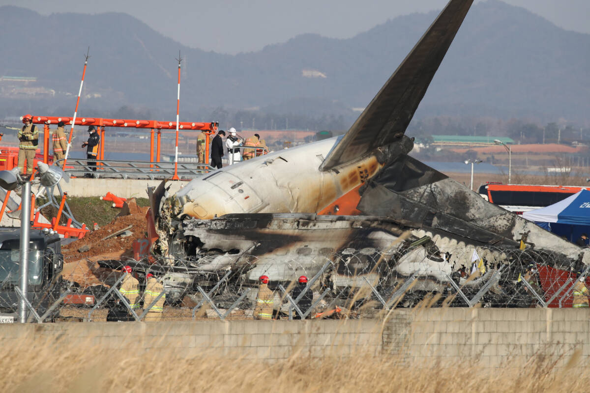 Article image for What is known about the cause of tragic plane crash which left 179 people dead in South Korea