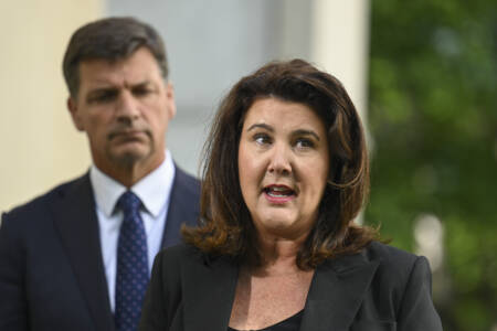 Shadow Finance Minister not happy with ‘pretty ordinary’ budget