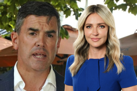 Jacqui Felgate tells Liberal Party to ‘get a grip’ over leaks against Brad Battin